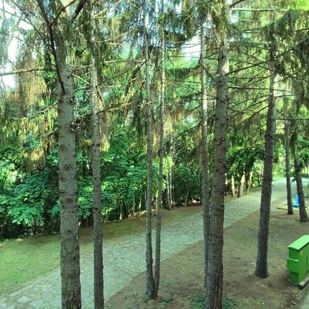 Park Hotel Briz Aranyhomok Kültér fotó