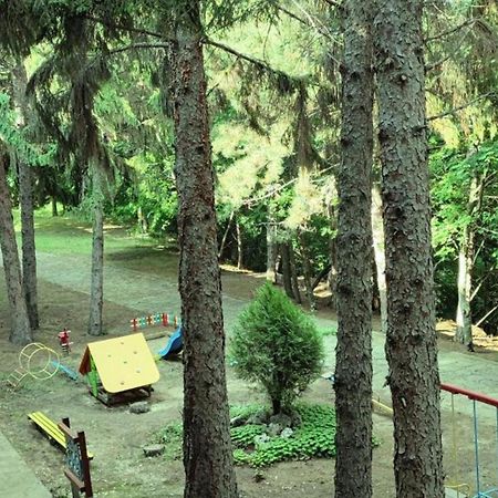 Park Hotel Briz Aranyhomok Kültér fotó
