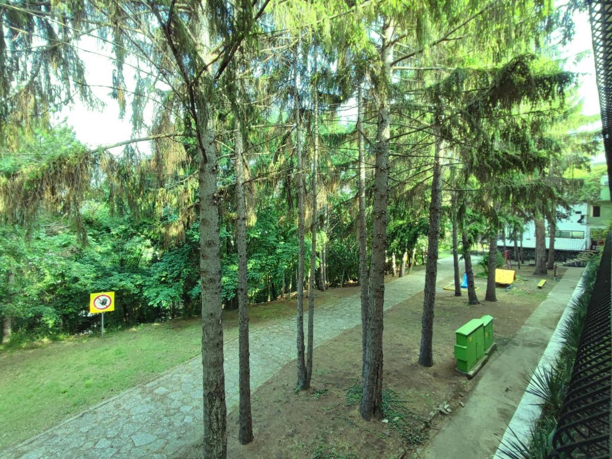 Park Hotel Briz Aranyhomok Kültér fotó