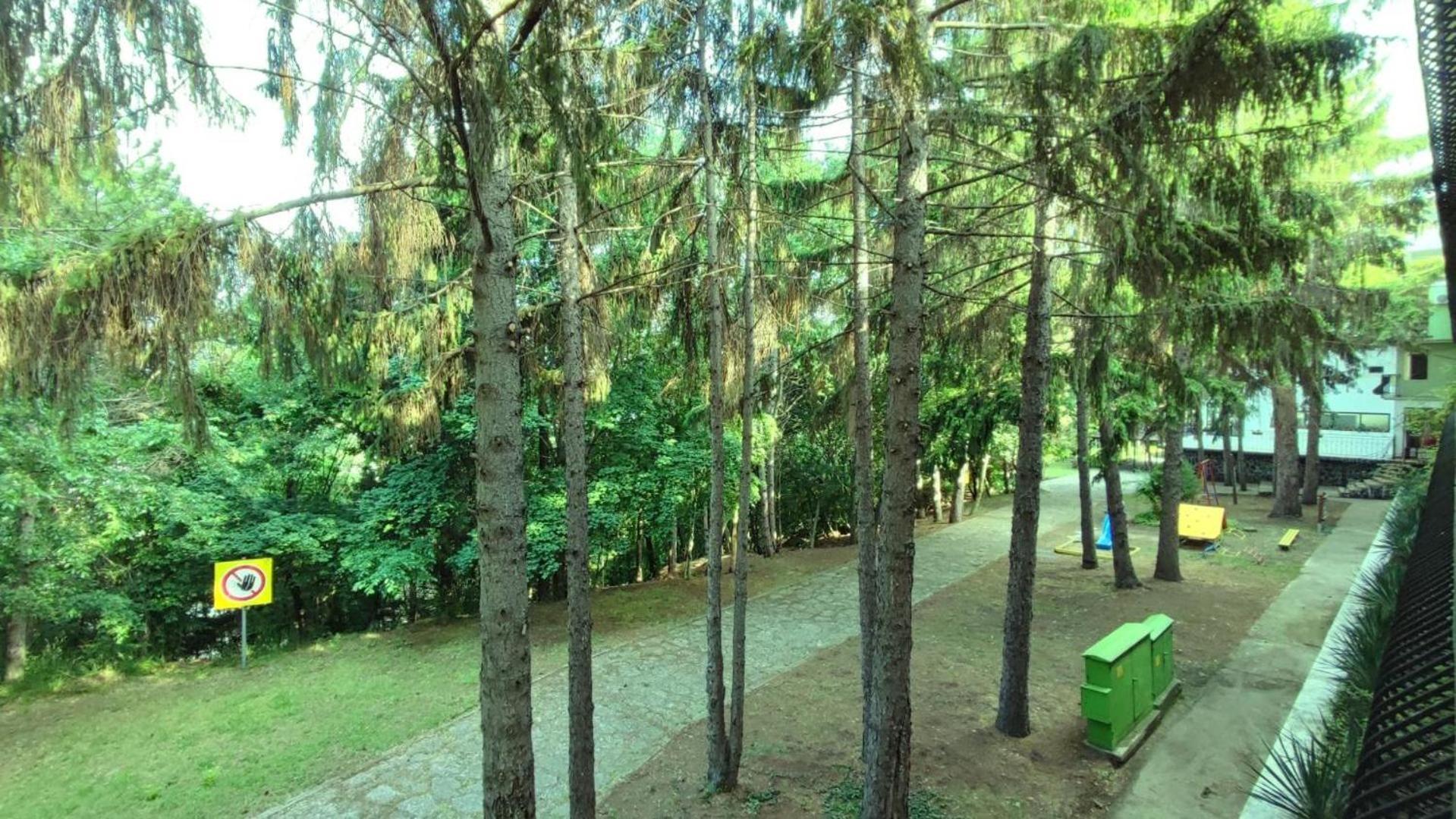 Park Hotel Briz Aranyhomok Kültér fotó